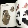 [USED] Contemporary shoe designer collection "New Shoes" by Mihara Yasuhiro and others