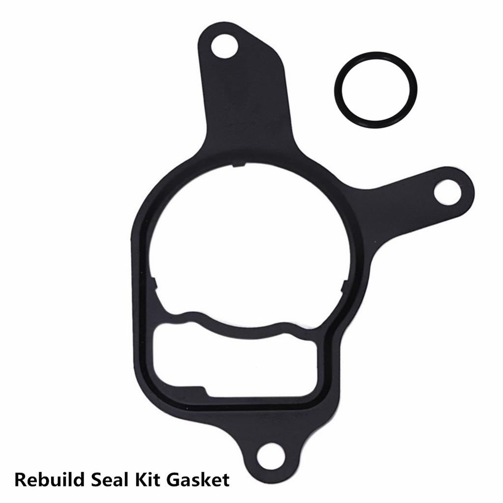 Vacuum Pump Seal Kit for Passat