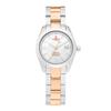 Vivienne Westwood Women Metal Watch Vv292slsr