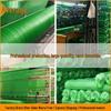 Green Thickened Sun Shade Net