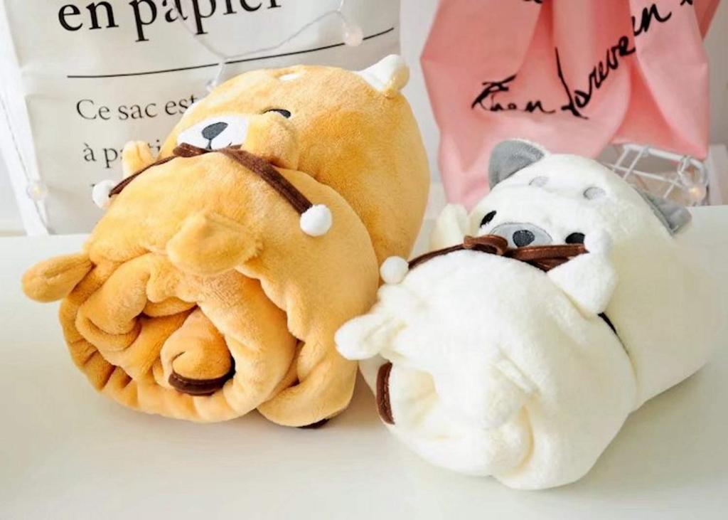 APOSITV Compact Plush Throw Cute and Warm Blanket, Large, Wrapped, 150100cm, (White)