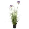 Hill Interiors Agapanthus Plant Pot