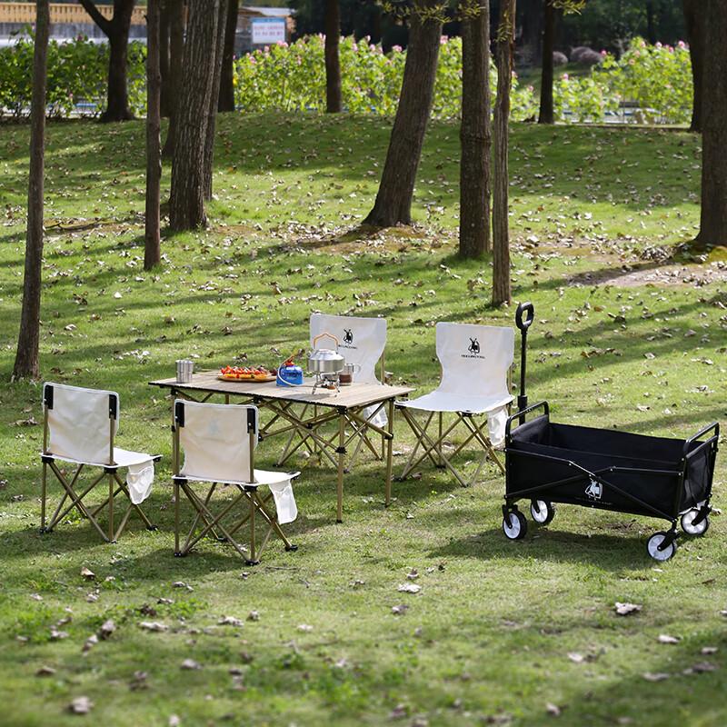 Huilingyang 4-Person Portable Picnic Set with Cart