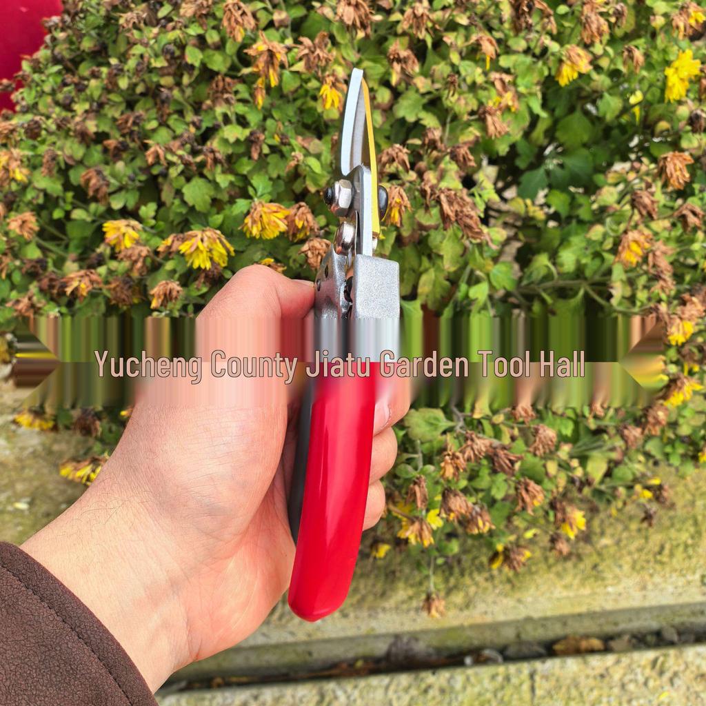 SK5 Steel Pruning Shears: Garden Scissors & Branch Cutters for Trees & Flowers