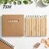 Colored Lead Set 12PCS Pencils for Kids, Bright Drawing Pencils, Art Creative Painting Creation Smooth Wooden Coloring Book And School Supplies Short