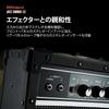 Roland/JC-22 Roland Guitar Amp Jazz Chorus 30W