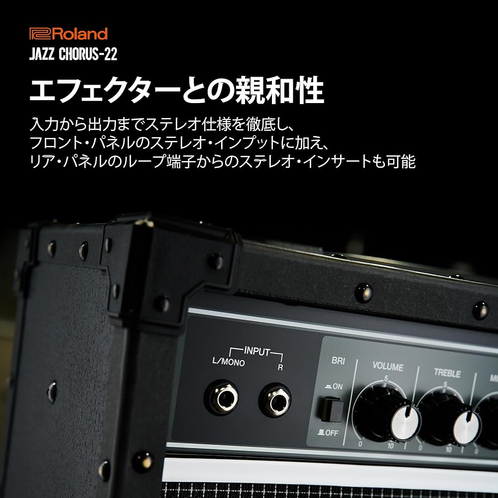 Roland/JC-22 Roland Guitar Amp Jazz Chorus 30W