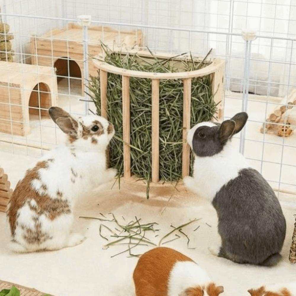 Wooden Bunny Hay Feeder Hanging Fixed Grass Dispenser Rabbit Hay Holder Built-in Detachable Ferret Hay Manger Small Animals Cage