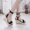 Fashionable Thick Sole Slope Heel Sandals 2024 Summer New Elegant and Versatile Sexy High Heel Shoes Comfortable Strap Sandals