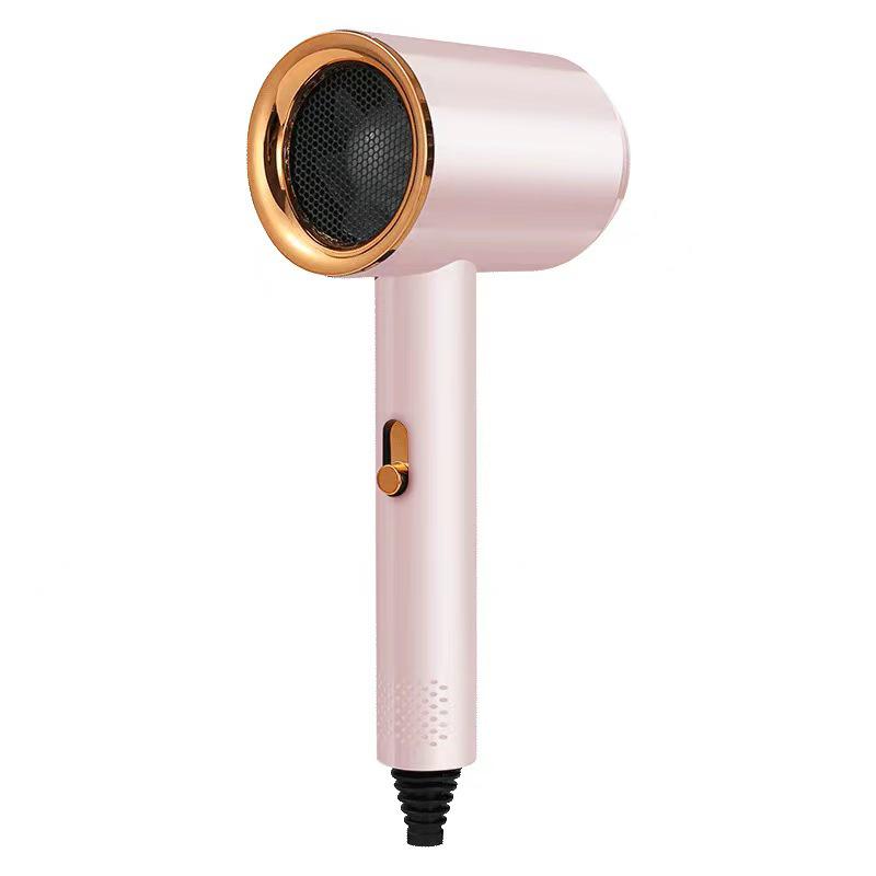 High Power Adjustable Temperature Blue Light Negative Ion Hair Dryer
