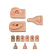 Silicone Piercing Practice Model Simulation Soft Flexible Nose Ears Model for Display Teaching