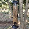 Hanging Wild Bird Seed Feeder Bird Food Dispender Feeding Tool Outdoor Garden Yard Outside Decor