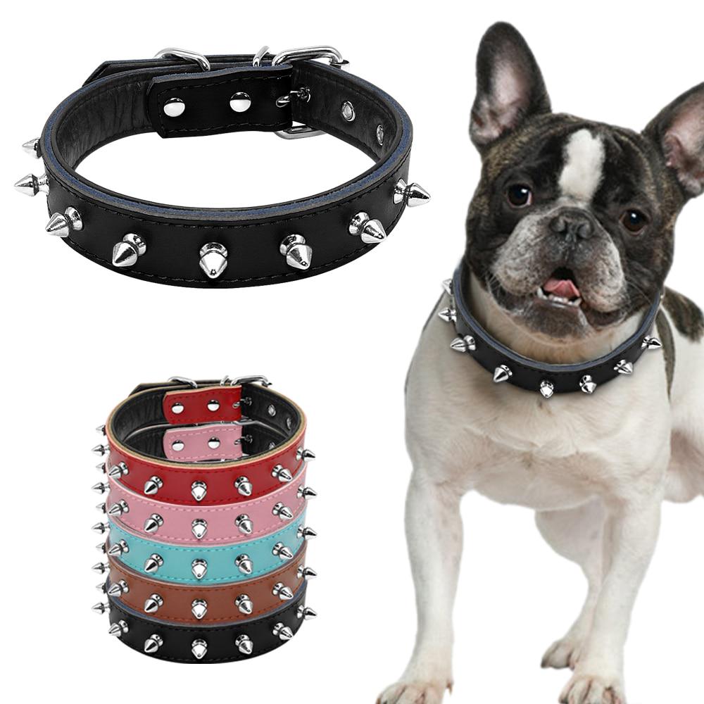 Belt for small puppy Outlet
