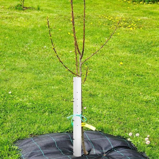 5 Stück Baumsetzling Wachstuben Belüftete Setzlingsschutzrohre 36 Zoll 48 Zoll Geteilte Baumwachstums-Schutzvorrichtungen mit Reißverschluss für Pflanzenschutz