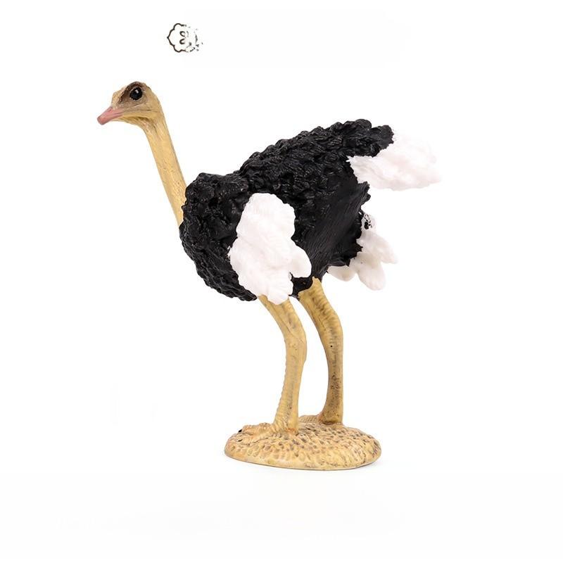 Childrens Wildlife Animal Toy African Ostrich Plastic Model For Educational Play Style B