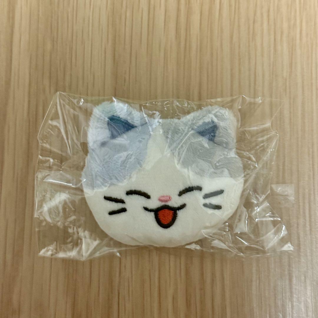 

[USED] NCT DREAM Dreamiez Lemyo Jungwoo Pin Badge Random