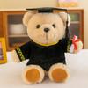 Dr. Teddy Graduation Plush Bear - Customizable Souvenir Doll with Logo