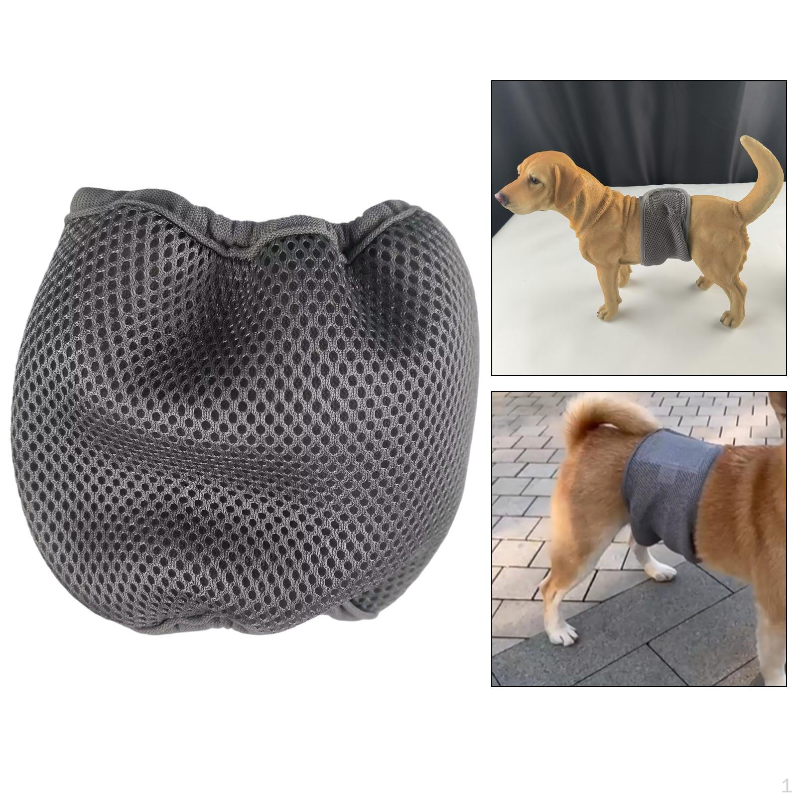 

Подгузник для собак для гигиены питомцев, многоразовые штаны для собак и кошек M