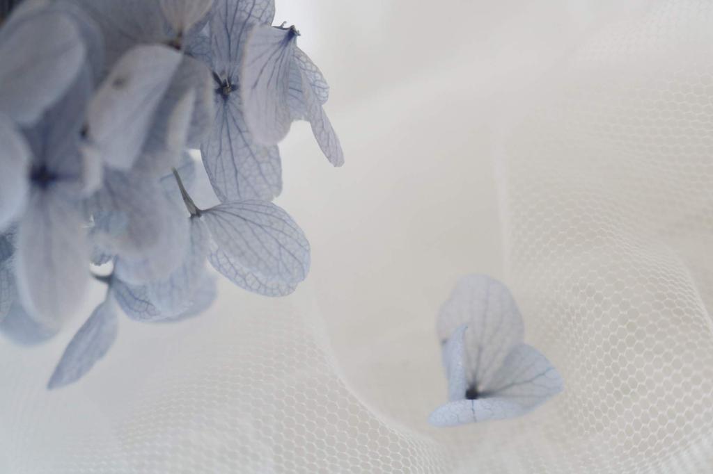 Lulus Pudelblaue Rosenkranz, Naturkranz mit konservierten Blumen, Größe: Ca.. 180mm B x 50mm H x 180mm H, Puderblau, Lulu's-1058