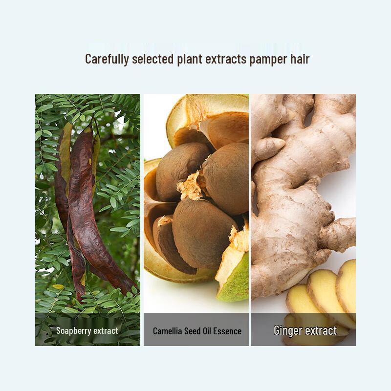 Fenghua Silicone-Free Anti-Dandruff Shampoo