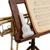 Multipurpose Altos Trombone Mouthpiece Suitable for Multiple Brands For Playing Consistent Pitch And Lasting Durability