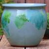 Handmade Coarse Ceramic Succulent Pot - Large Clivia Planter with Wide Opening