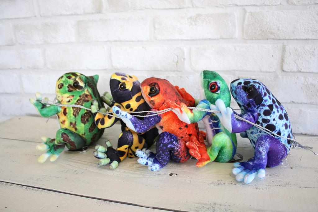 Taiyo Sangyo Boeki Wild Graphy Plush Strawberry Poison Dart Frog (S) SA018