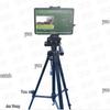 AI Military Physical Fitness Assessment System