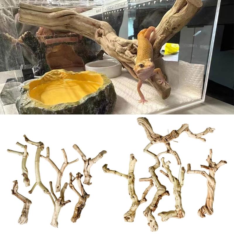 Wood Reptiles Cave Driftwood Natural Wood Aesthetic Easy Attachment Trunk Cave Shelter for Amphibians