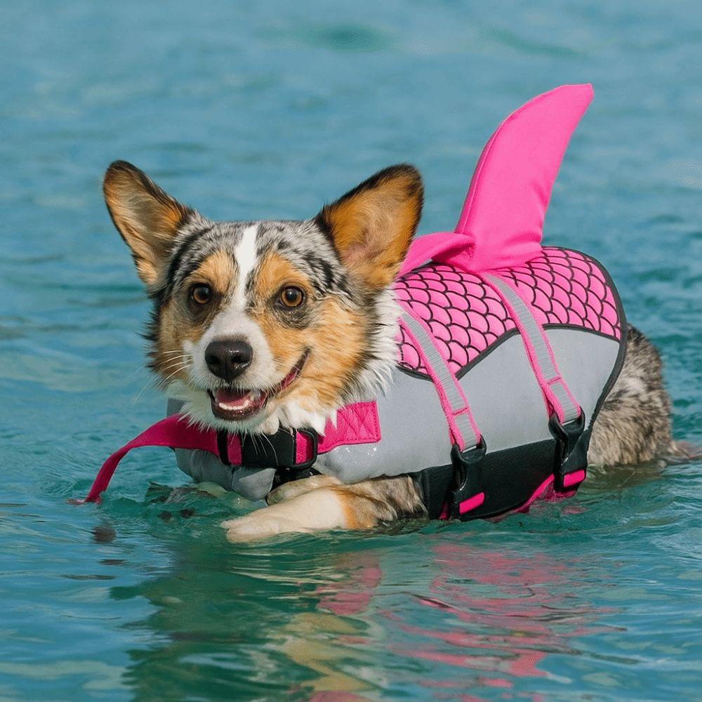 Reflective Dog Swimsuit Waterproof Dogs Swimming Clothes Scales Shark Dog Clothes  Surfing Costume