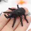 Funny 12Pcs Simulation Insect Toy Spider Model Fun Realistic Ladybird Dragonfly Animal Toy Children'S Wacky Toys Birthday Gifts