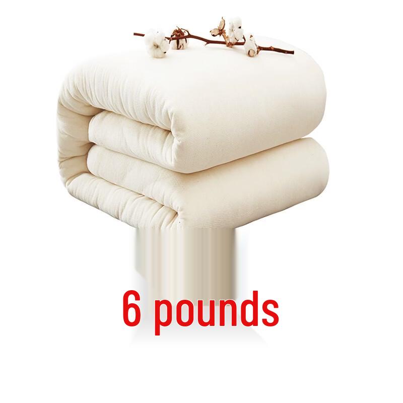 Oeny All-Season Cotton Quilt Core