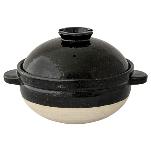Hase-en Kamadosan Donabe (Earthenware Pot) - 3-cup capacity, approximately 24cm diameter x 16cm height, Iga-yaki, rice cooker, includes cooking recipe