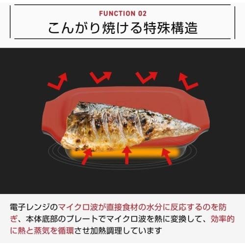 Hiro Corporation Microwave Cooker, Grilled Fish, Grilling, Frying, Boiling, Steaming, Cooking, Reheating, Dishwasher Safe, Includes Recipe Book, Range