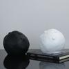 Modern Simple Resin Black and White Clay Ball Head Ornaments Study Living Room Model House Sales Office Light Decorations