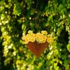 Decorative Plant Hanging Holder Heart Shape Hanging Planter Pot with Hook for Enhancing Indoor and Outdoor Decoration