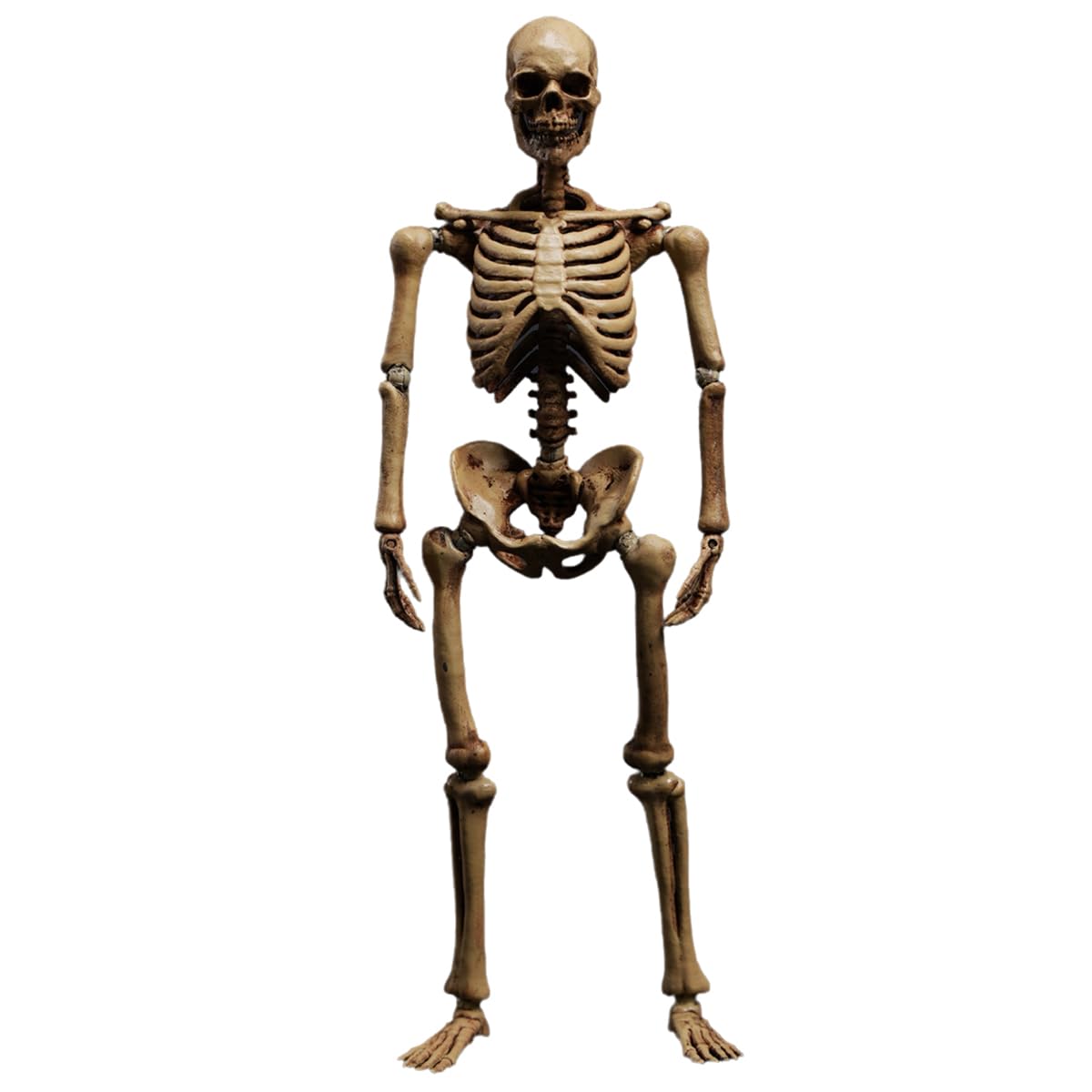 

HiPlay 101TOYS 1/12 Scale Skeleton Frame Body NO.ES002 Original Color Version Body Figure Super Articulated