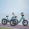 Electric Bike DYU FF50 20" 250W Motor 48V 14AH Max Range 70Km Top Speed 32Km/h Load 150KG Blue