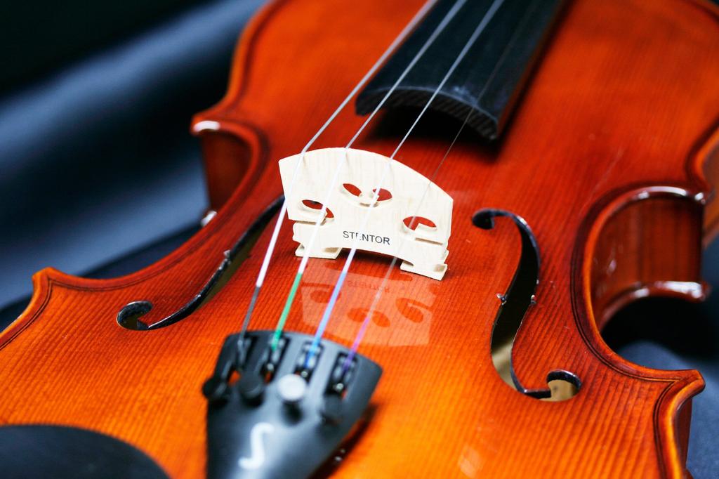 STENTOR Violin Set Product Handled by a Japanese SV-320 4/4 [Reliable Company]