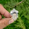 Plume Agate Gemstone Engagement Wedding New Promise Ring Jewelry Sterling Silver