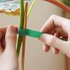 1-10 Rolls Green Garden Twine Plant Ties Nylon Plant Bandage Garden Hook Loop Bamboo Canl E Wrap Support Garden Accessories