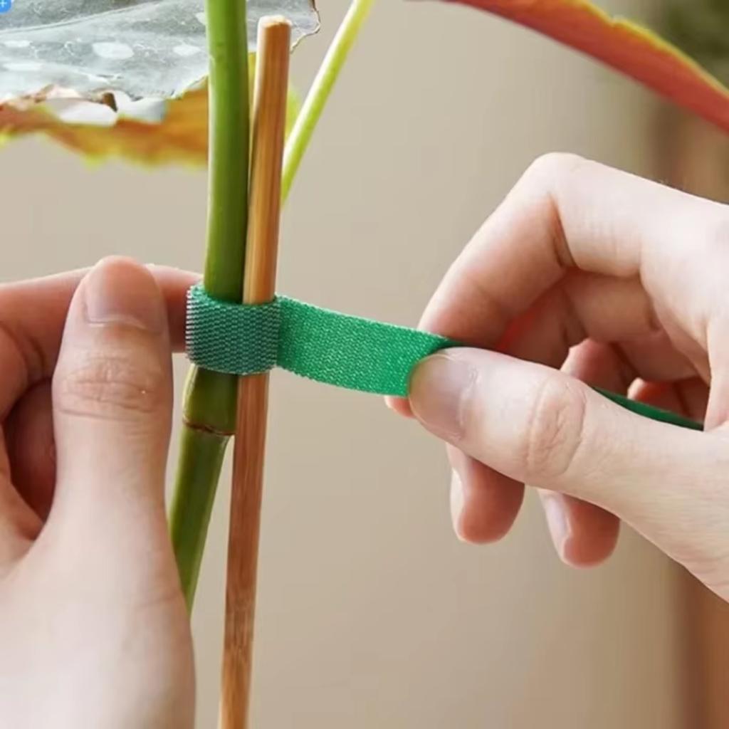1-10 Rolls Green Garden Twine Plant Ties Nylon Plant Bandage Garden Hook Loop Bamboo Canl E Wrap Support Garden Accessories