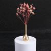 In Size Plant Container Flower Arrangement Living Room Decor Home Decor Vases Antique Vase Decoration Bottles Flower Ornaments