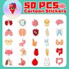 50 Cute Human Organ Stickers To Learn Cartoon Human Organ Children'S Early Education Sticker Ideas