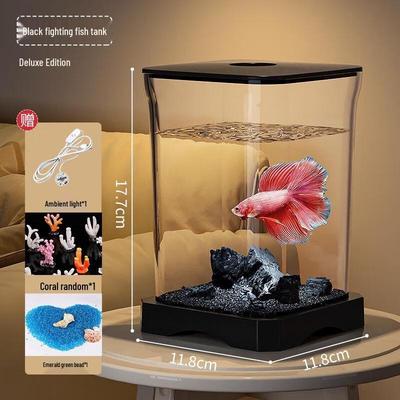 Peces y mascotas acuáticas – Peceras