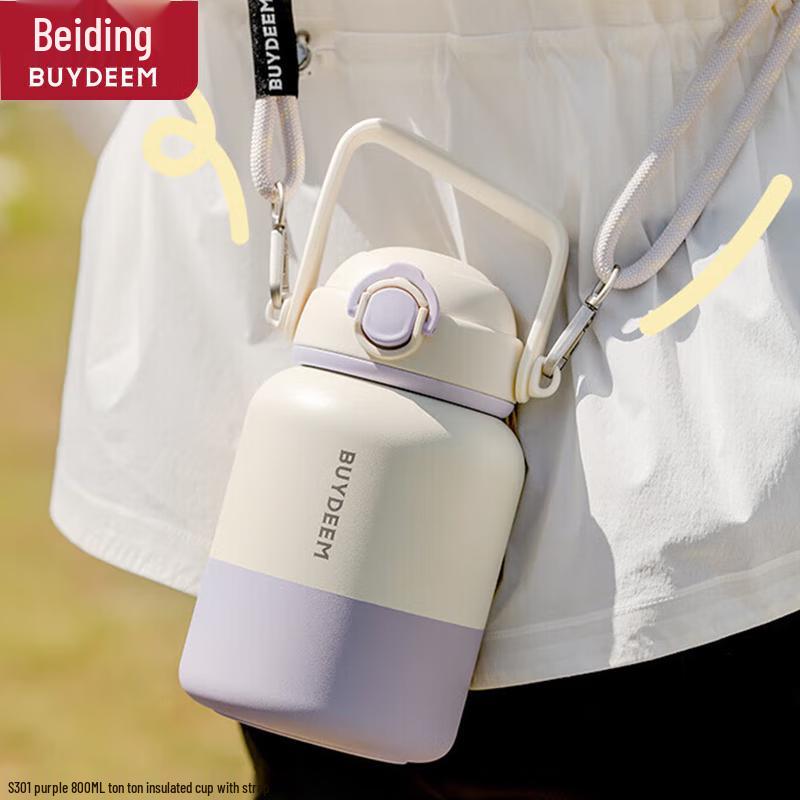 Buydeem 800ml Insulated Portable Water Bottle with Strap