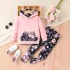 Wholesale Girls Fashion Long-sleeved Sweatshirt Two-piece Set Spring and Autumn Pink Irregular Letter Pattern Floral Trousers Set