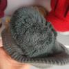 Warm Ear Protector Cap Windproof Knitted Peaked Hat Cover Head Baseball Knitted Cap  Protective Ear