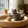 Faux Sisal Cat Ball Toy, 8CM Large Sisal Scratch Ball with Built-in Bell, Interactive Cat Play Toy, Bite-Resistant Cat Toy