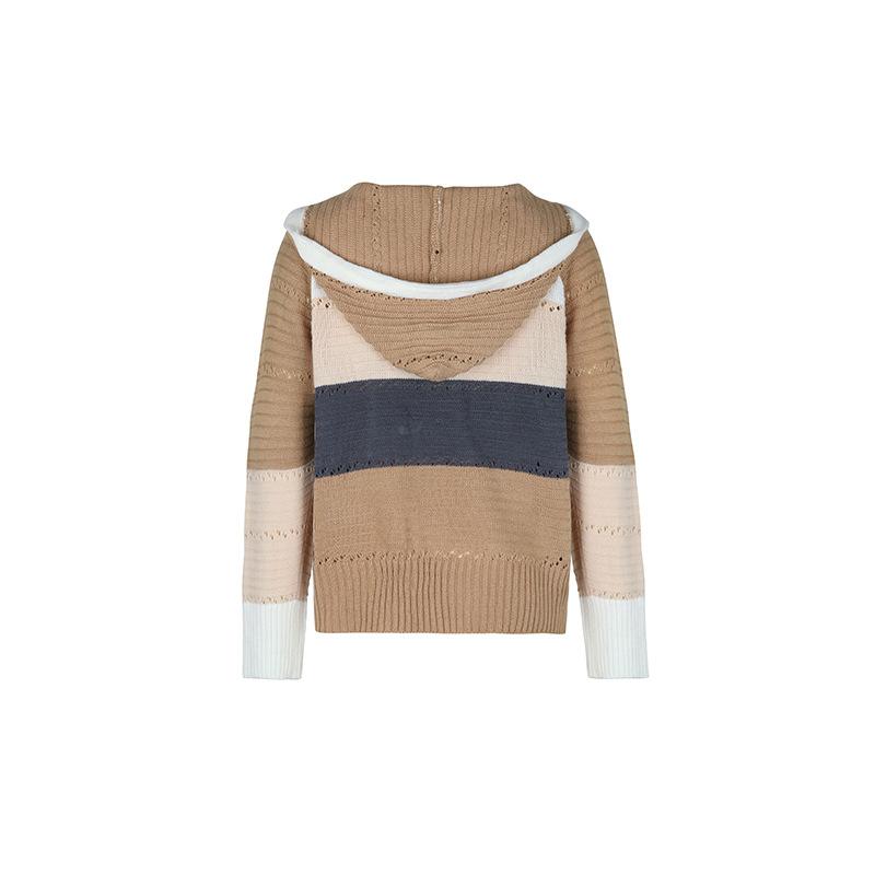Autumn Women's Knit Blouse Sweatshirt Loose Cozy Casual Hooded Colorblocked Pullover Knit Sweatshirt